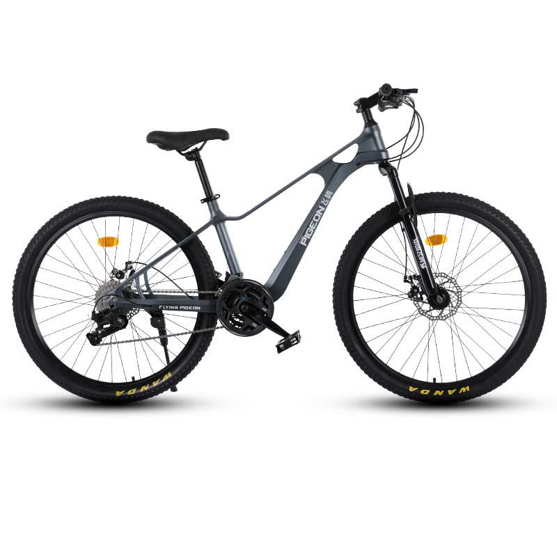 FG-010 dark gray City Commuter Hybrid Bike